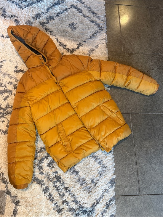 Zara Other - ZARA BOYS collection ~ Kids ~ Hooded Puffer Jacket ~ Mustard ~ 13/14